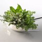 foto Food design